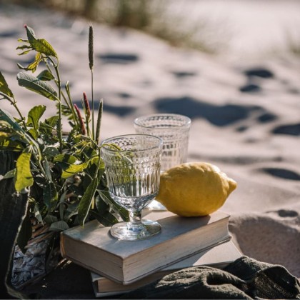 Verre à pied Côtes- La Rochère