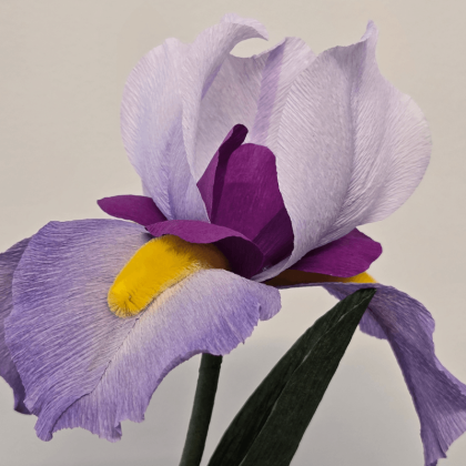 Iris en papier crépon – pièce unique – Yêu Création